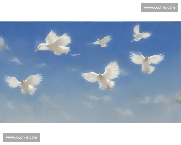 激情翱翔蓝天展翅逐梦全国信鸽竞技赛再掀城市全民热潮